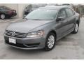 Platinum Gray Metallic - Passat 1.8T Wolfsburg Edition Photo No. 3