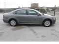 Platinum Gray Metallic - Passat 1.8T Wolfsburg Edition Photo No. 11