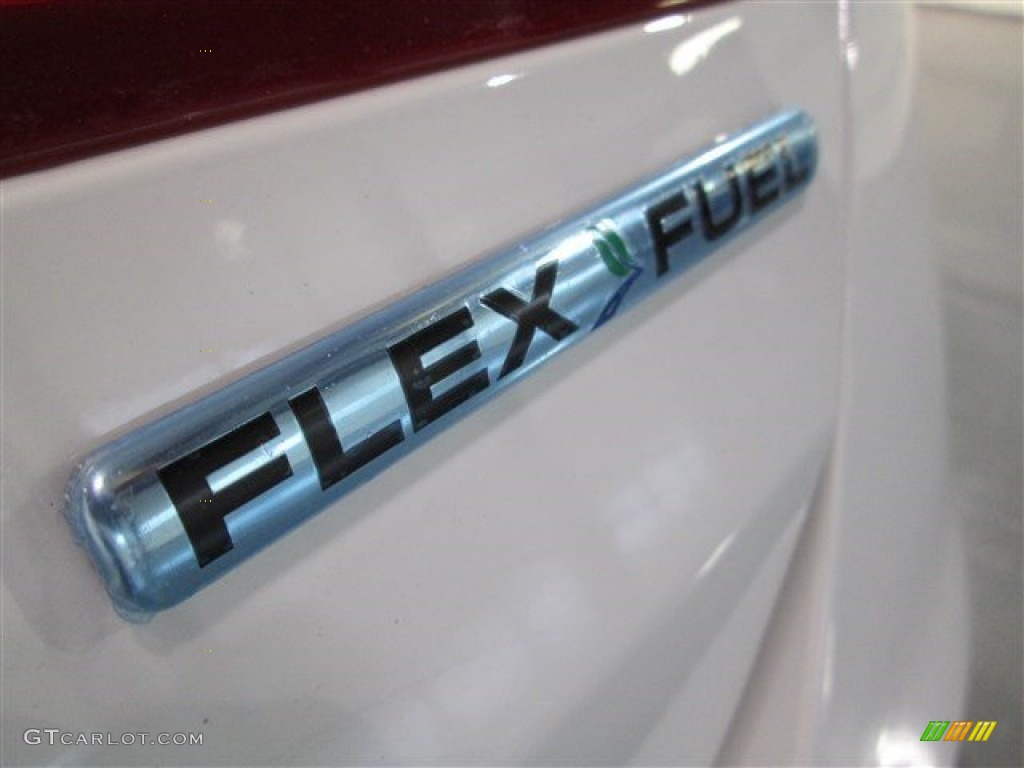 2015 Taurus SE - Oxford White / Dune photo #7