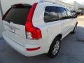 Ice White - XC90 3.2 Photo No. 6