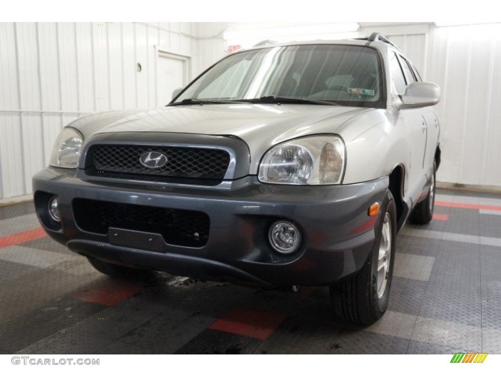 2004 Santa Fe GLS 4WD - Pewter / Gray photo #3