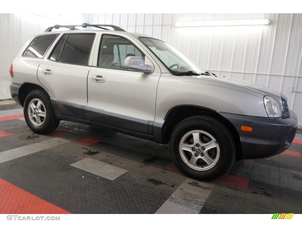 2004 Santa Fe GLS 4WD - Pewter / Gray photo #6