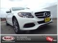 Polar White - C 300 4Matic Photo No. 1