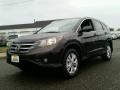 Kona Coffee Metallic - CR-V EX-L AWD Photo No. 1