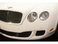 2010 Arctica Bentley Continental GTC Speed  photo #5