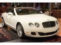 2010 Arctica Bentley Continental GTC Speed  photo #10