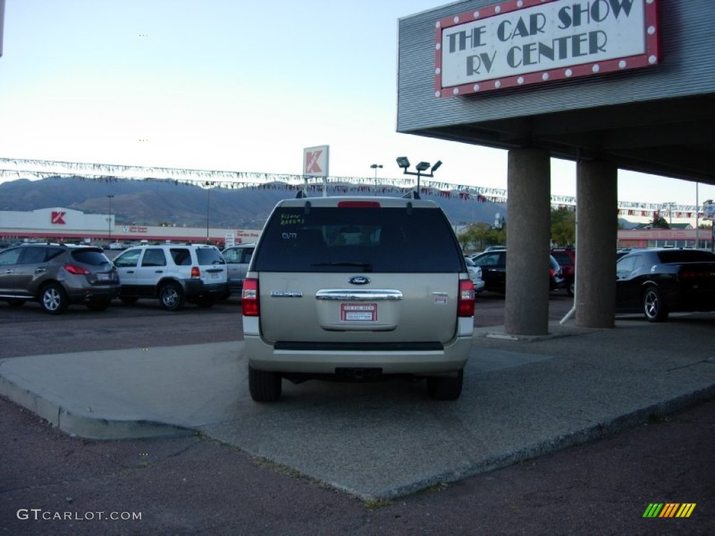 2008 Expedition EL XLT 4x4 - Pueblo Gold Metallic / Camel photo #4