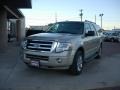 Pueblo Gold Metallic - Expedition EL XLT 4x4 Photo No. 16