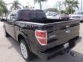 2013 Tuxedo Black Metallic Ford F150 Limited SuperCrew 4x4  photo #8