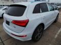 Glacier White Metallic - Q5 3.0 TFSI Premium Plus quattro Photo No. 5