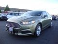 2013 Ginger Ale Metallic Ford Fusion SE 1.6 EcoBoost  photo #3