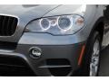 2012 Space Gray Metallic BMW X5 xDrive35i Premium  photo #34