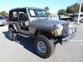 2005 Light Khaki Metallic Jeep Wrangler Unlimited 4x4  photo #10