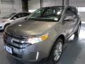 2014 Mineral Gray Ford Edge Limited  photo #3