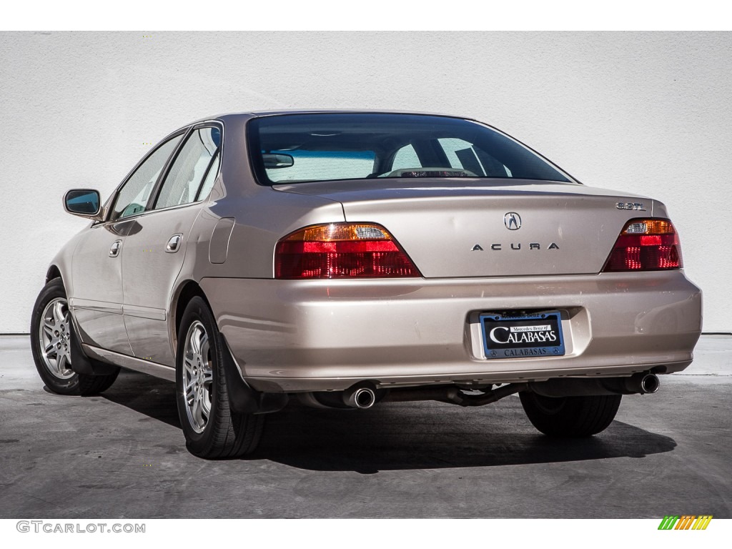 2000 TL 3.2 - Naples Gold Metallic / Beige photo #10