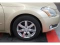 Champagne Mist Metallic - Maxima 3.5 SL Photo No. 36
