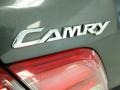 Magnetic Gray Metallic - Camry SE Photo No. 38