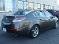 2010 Polished Metal Metallic Acura TL 3.5 Technology  photo #8