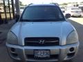 Platinum Metallic 2007 Hyundai Tucson GLS