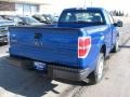 2009 Blue Flame Metallic Ford F150 XL Regular Cab  photo #1