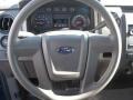 2009 Blue Flame Metallic Ford F150 XL Regular Cab  photo #9