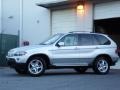 2005 Titanium Silver Metallic BMW X5 4.4i  photo #2