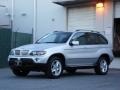 2005 Titanium Silver Metallic BMW X5 4.4i  photo #5