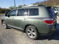 2013 Cypress Green Pearl Toyota Highlander Limited 4WD  photo #6