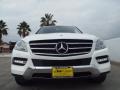 Polar White - ML 350 Photo No. 2