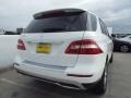 Polar White - ML 350 Photo No. 4