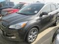 2015 Magnetic Metallic Ford Escape Titanium  photo #4