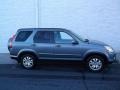 Pewter Pearl - CR-V Special Edition 4WD Photo No. 2