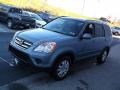 Pewter Pearl - CR-V Special Edition 4WD Photo No. 6