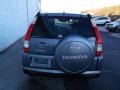 Pewter Pearl - CR-V Special Edition 4WD Photo No. 8