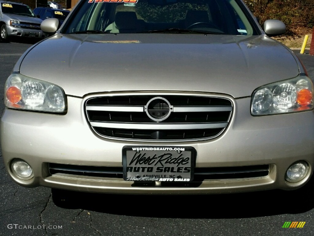 2002 Maxima SE - Sunlit Sand Metallic / Blond photo #1