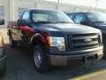 Green Gem - F150 XL Regular Cab Photo No. 3