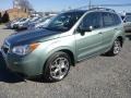 Jasmine Green Metallic 2015 Subaru Forester 2.5i Touring Exterior