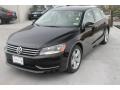 Black - Passat 2.5L SE Photo No. 3