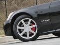 Black Raven - XLR Roadster Photo No. 37