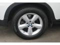 Alpine White - X5 xDrive30i Photo No. 10