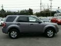 2008 Tungsten Grey Metallic Ford Escape XLT  photo #8