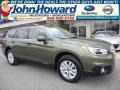 2015 Wilderness Green Metallic Subaru Outback 2.5i Premium  photo #1