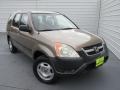 Mojave Mist Metallic 2004 Honda CR-V LX