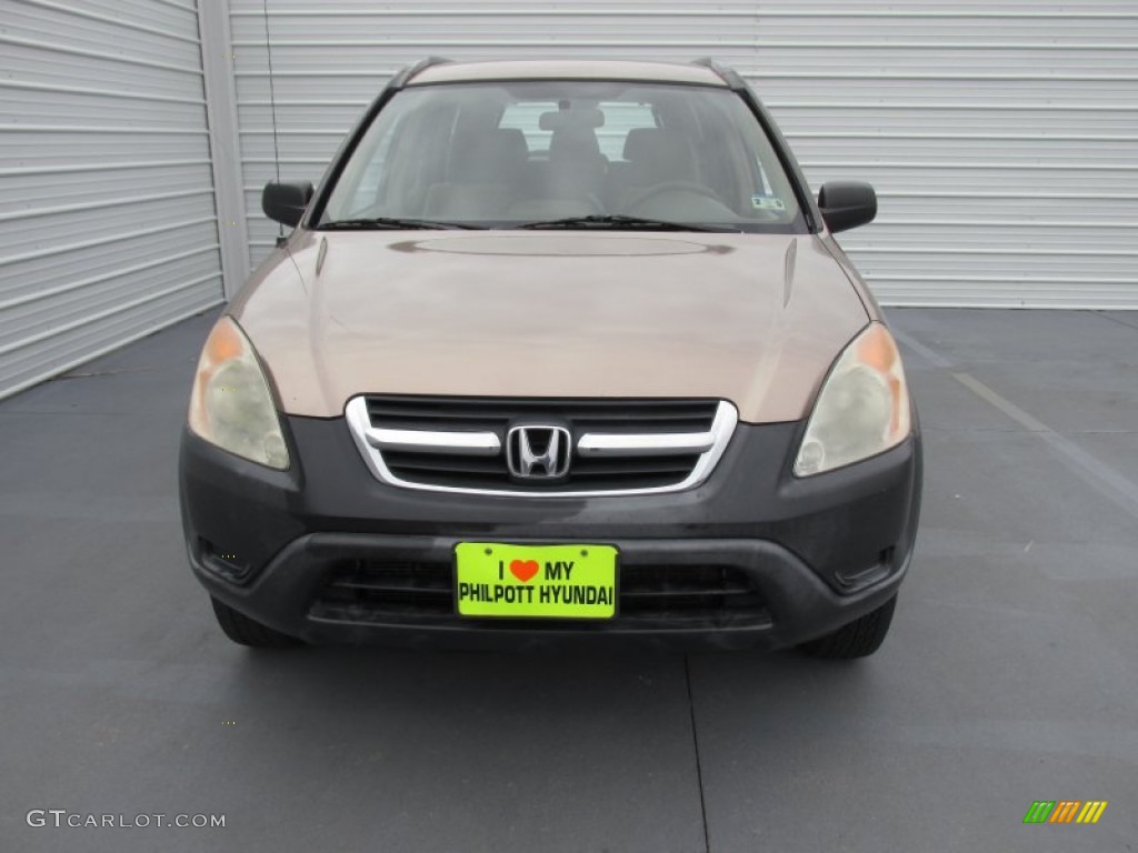2004 CR-V LX - Mojave Mist Metallic / Saddle photo #5