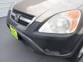 Mojave Mist Metallic - CR-V LX Photo No. 7