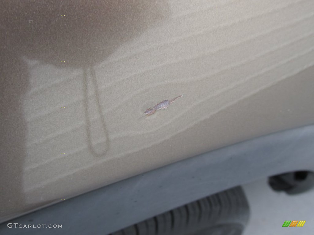 2004 CR-V LX - Mojave Mist Metallic / Saddle photo #16