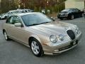Topaz Beige - S-Type 3.0 Photo No. 5