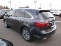 Graphite Luster Metallic - MDX Technology Photo No. 5