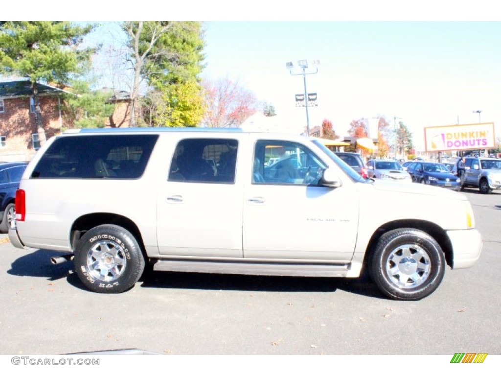 2005 Escalade ESV Platinum AWD - Quicksilver / Pewter photo #10