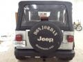 2004 Bright Silver Metallic Jeep Wrangler X 4x4  photo #7